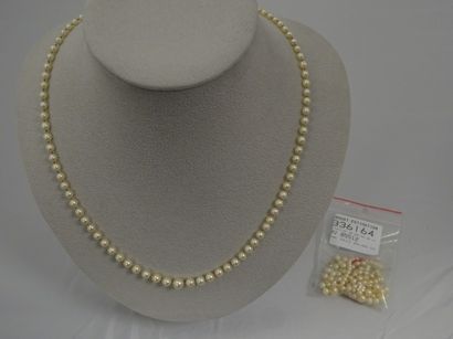 Collier de perles de culture blanches en...