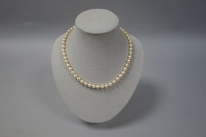 Collier de perles de culture blanches en...