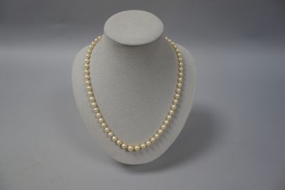 Collier de perles de culture blanches en...