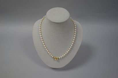 Collier de perles de culture blanches en...