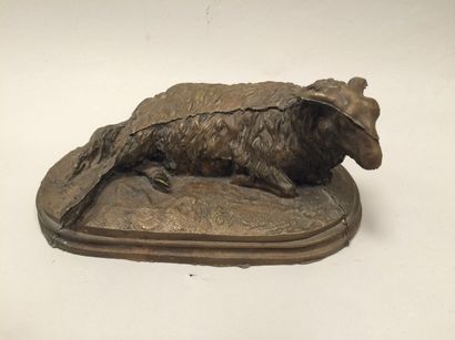 D'après Rosa Bonheur (1822-1899)


Brebis...
