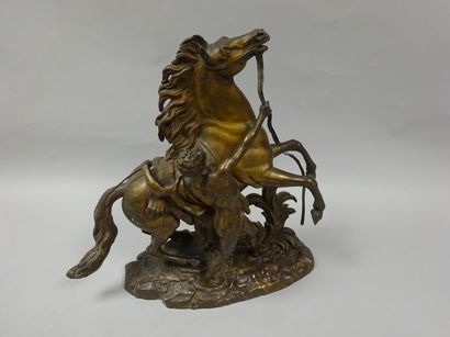 D'après Guillaume I COUSTOU (1677-1746)


Cheval...