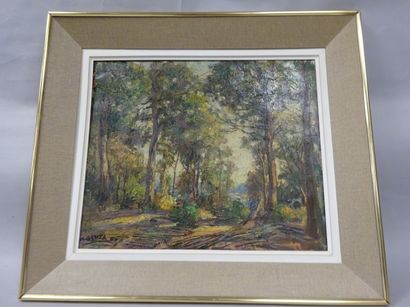 Albert GENTA (1901-1989)


Paysage de sous-bois.

Huile...