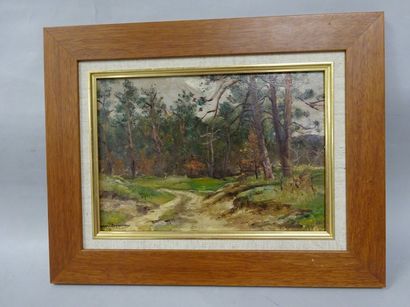 Raymond DESVARREUX (1876-1961)


Paysage...