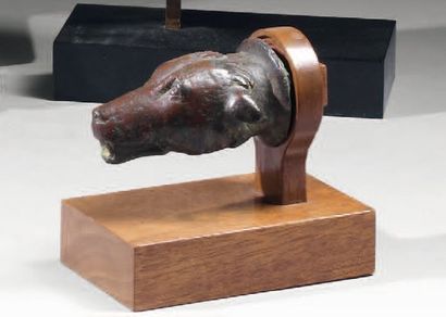 Déversoir, tête de chien. Bronze patine rouge...