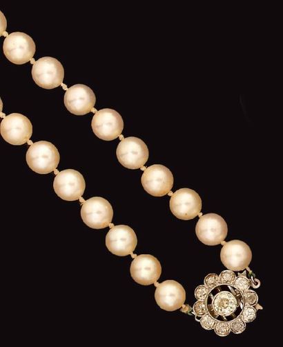Collier choker composé de quarante cinq perles...