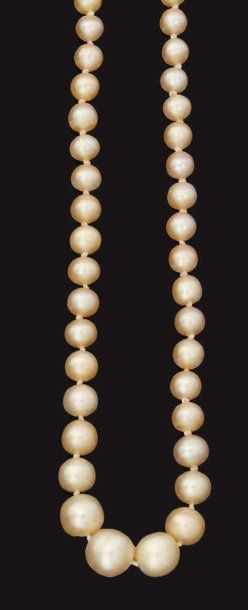 Collier de cent une perles fines en chute,...