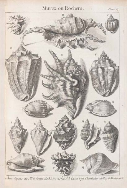 DEZALLIER D'ARGENVILLE
L'Histoire naturelle...