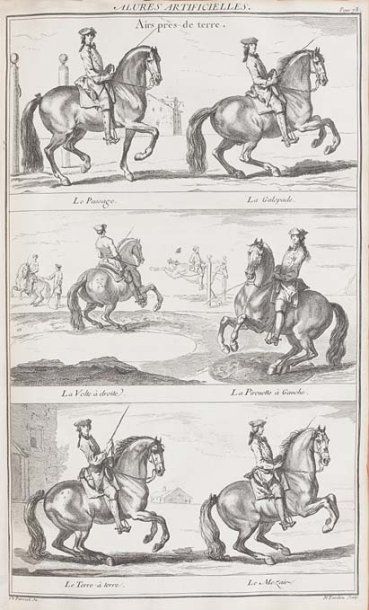 LA GUÉRINIÈRE (François Robichon de)
Ecole...