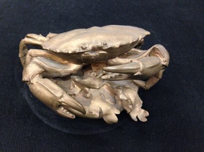 Ecole fin du XIXème - début du XXème siècle

Crabe.

Epreuve...