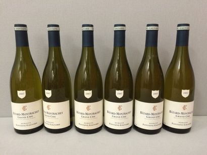 BATARD-MONTRACHET

6 bouteilles, 2007.

Bon...