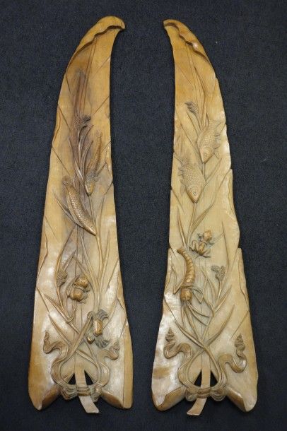 Paire de grandes feuilles lacustres triangulaires...