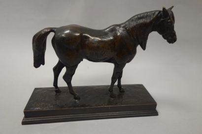 D'après Antoine-Louis BARYE (1795-1875)
Etalon.

Epreuve...