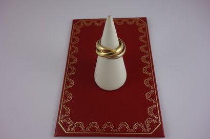 CARTIER, modèle Trinity


Bague Trinity trois...