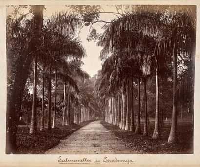 Album de voyage
Photographies de Ceylan par...