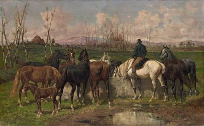 Giuseppe GABANI (1846-1899)
Chevaux à l'abreuvoir.
Huile...