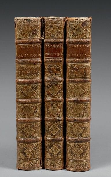 ALDROVANDI (Ulisse)

Ornithologiae, hoc est...