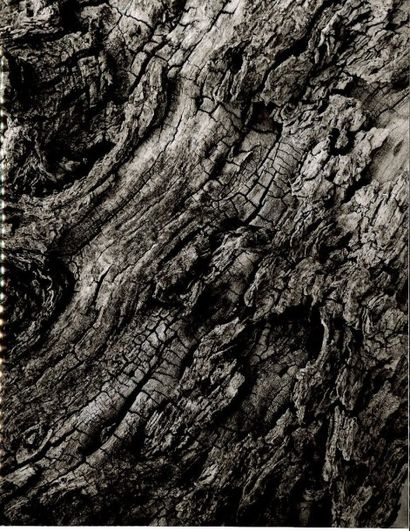 Georges JONIAUX (1932-1987)


Sans titre,...