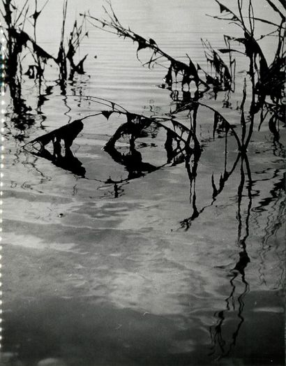 Georges JONIAUX (1932-1987)


Sans titre,...