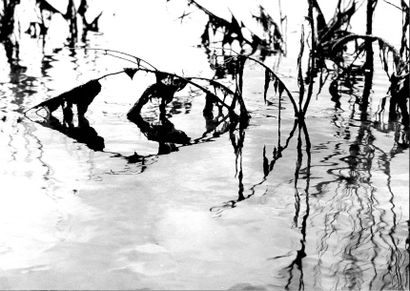 Georges JONIAUX (1932-1987)


Sans titre,...