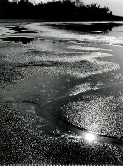 Georges JONIAUX (1932-1987)


Sans titre,...