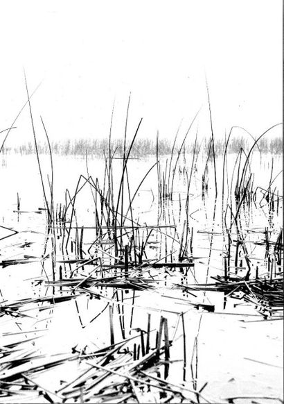 Georges JONIAUX (1932-1987)


Sans titre,...