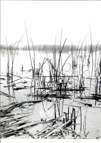 Georges JONIAUX (1932-1987)


Sans titre,...