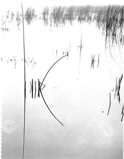 Georges JONIAUX (1932-1987)


Sans titre,...