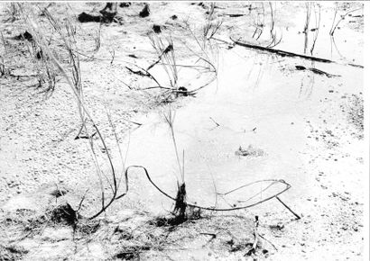Georges JONIAUX (1932-1987)


Sans titre,...
