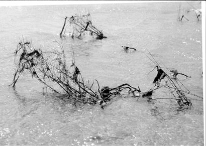 Georges JONIAUX (1932-1987)


Sans titre,...