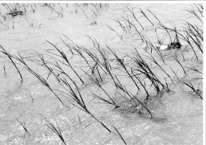 Georges JONIAUX (1932-1987)


Sans titre,...