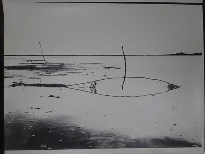 Georges JONIAUX (1932-1987)


Sans Titre,...