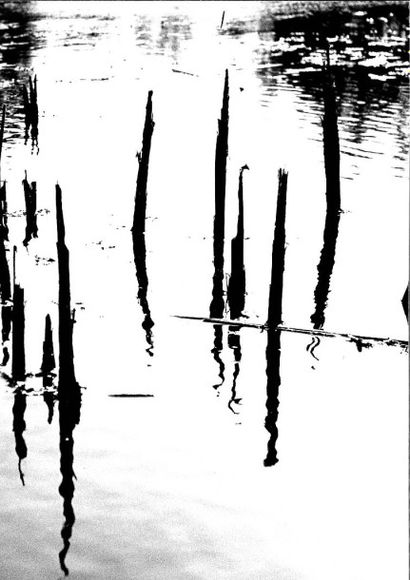 Georges JONIAUX (192-987)
Sans titre, paysages....