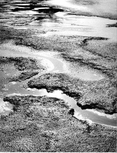 Georges JONIAUX (192-987)
Sans titre, paysages....