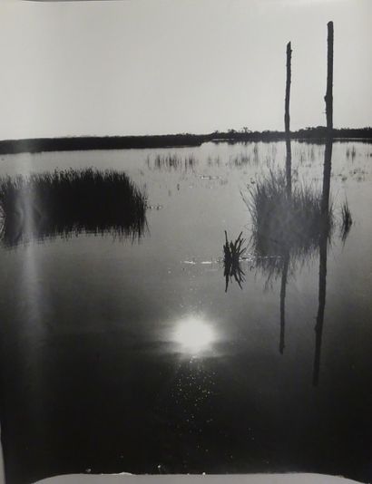 Georges JONIAUX (1932-1987)


Sans titre,...