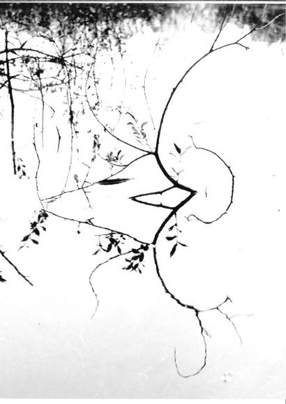 Georges JONIAUX (1932-1987)


Sans titre,...