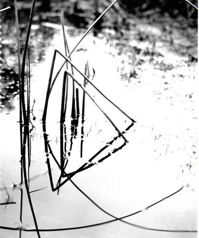 Georges JONIAUX (1932-1987) 
