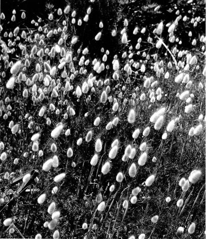 Georges JONIAUX (1932-1987)


Sans titre,...