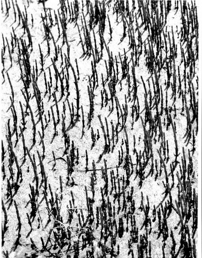 Georges JONIAUX (1932-1987)


Sans titre,...