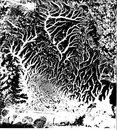 Georges JONIAUX (1932-1987)


Sans titre,...