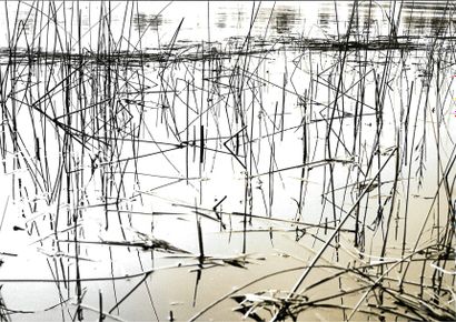 Georges JONIAUX (1932-1987)


Broderie de...