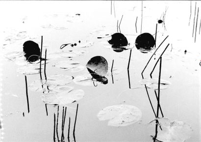 Georges JONIAUX (1932-1987)


Sans titre,...