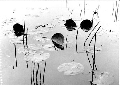 Georges JONIAUX (1932-1987)


Forme insolite...