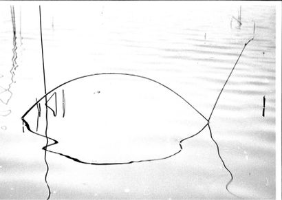 Georges JONIAUX (1932-1987)


Sans titre,...