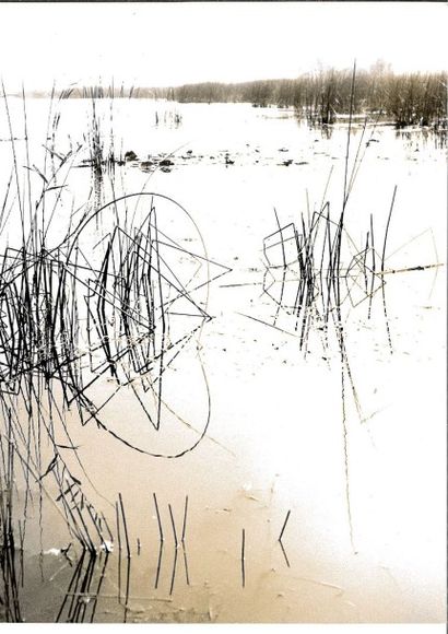 Georges JONIAUX (1932-1987)


Sans titre,...