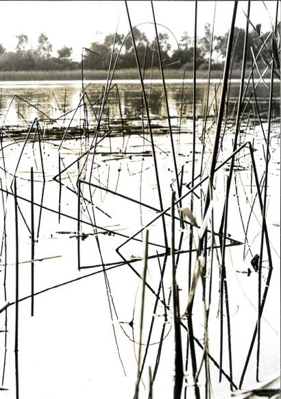 Georges JONIAUX (1932-1987)


Sans titre,...