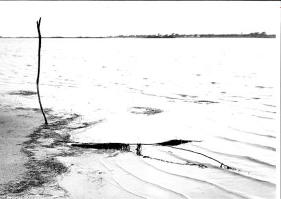Georges JONIAUX (1932-1987)


Sans titre,...