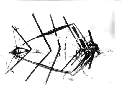 Georges JONIAUX (1932-1987)


