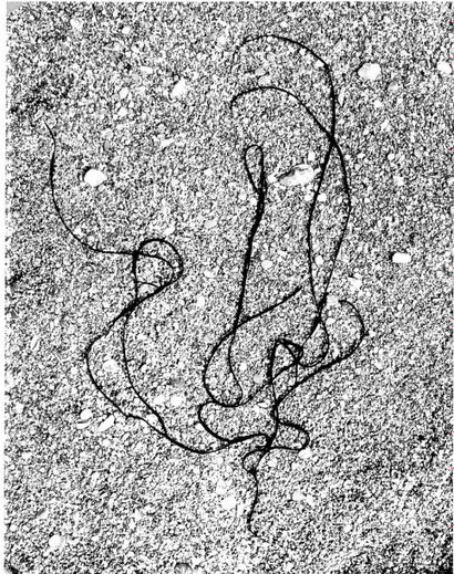 Georges JONIAUX (1932-1987)


Sans titre,...