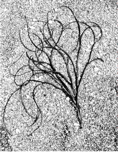 Georges JONIAUX (1932-1987)


Sans titre,...